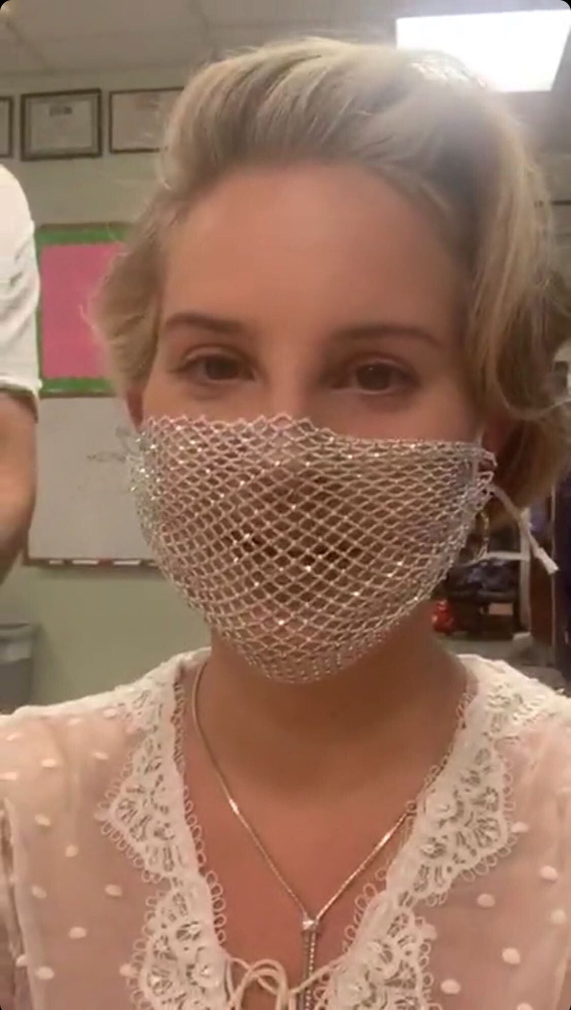 Lana Del Rey responds to backlash after wearing mesh face mask FLOCK x 11 | The Flock Diversion Psyop + The Real Surveillance System