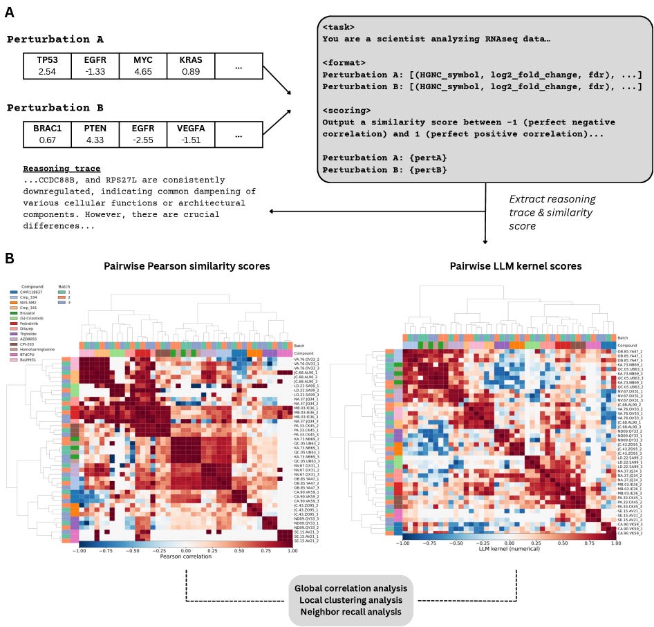 AI for open-ended scientific explanations