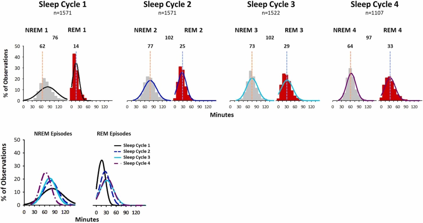 Why ‘Sleep Hygiene’ Doesn’t Fix 3 a.m. Wake-Ups https%3A%2F%2Fsubstack post media.s3.amazonaws.com%2Fpublic%2Fimages%2F94a6c66c 7f35 4d00 aafd