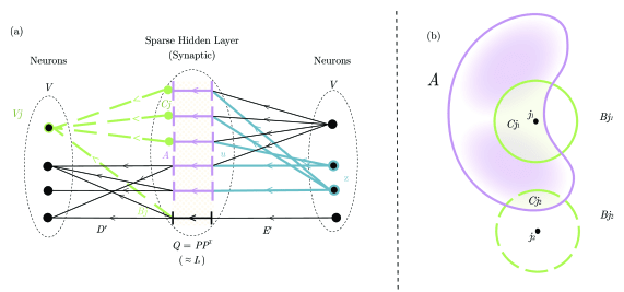 Selective neuron activation