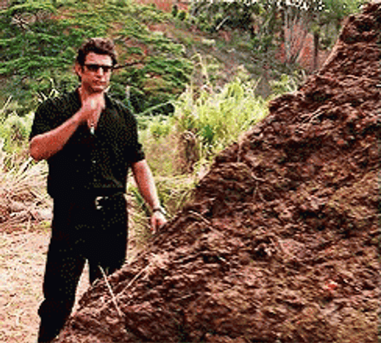 Jurassic Park GIFs | GIFDB.com