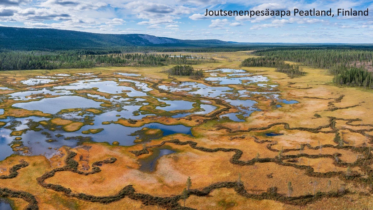 EarthStuff - How Far Does Water Travel When Peatlands Are Rewetted?