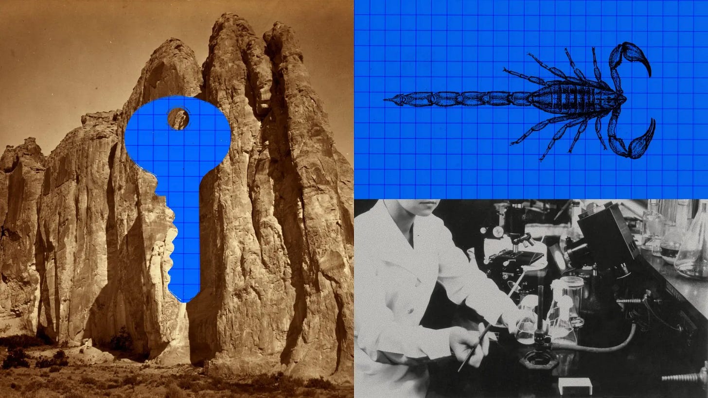 Claude a conçu 17 protĂ©ines qui sâaccrochent au venin de scorpion - GPToast la newsletter IA Claude a conçu 17 protĂ©ines qui sâaccrochent au venin de scorpion - GPToast la newsletter IA