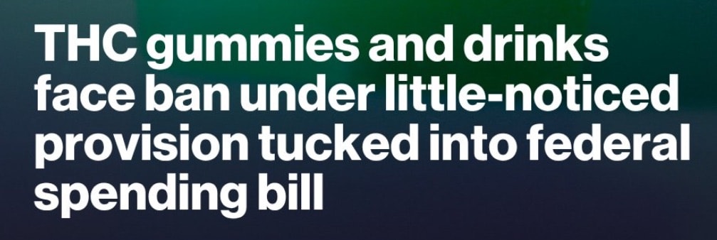 Screenshot 2025-11-18 at 11.05.54 AM.jpeg