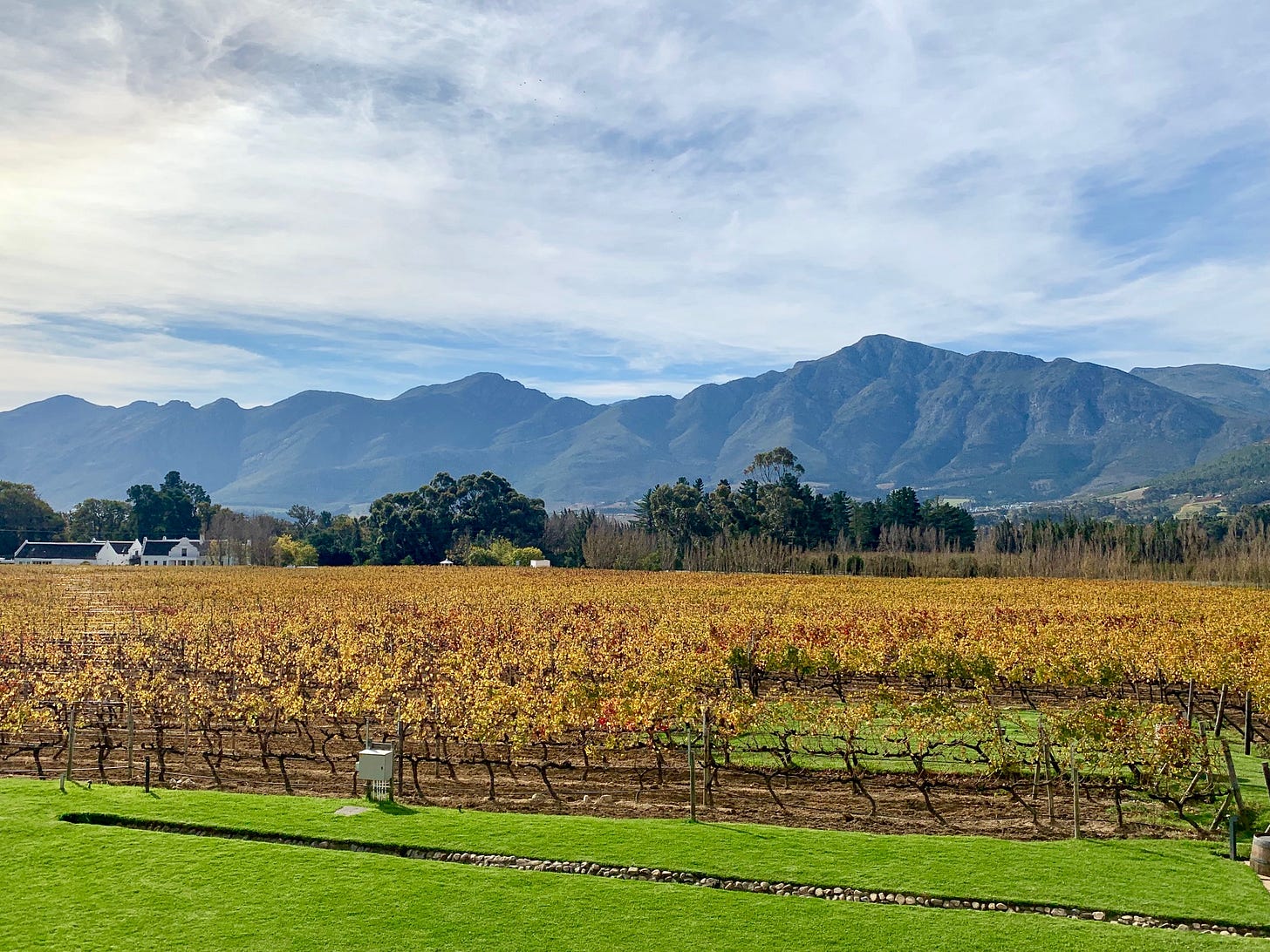 Franschhoek wine country with mountains in the background and sprawling vineyards.