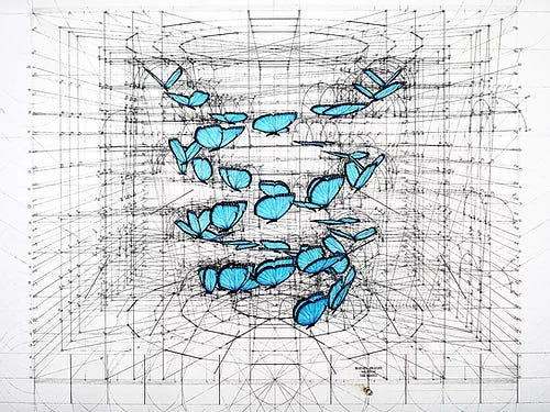 BLUE MORPHO DOUBLE HELIX