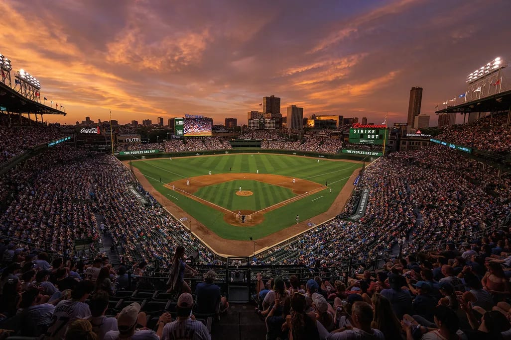Wrigley, June 2024.