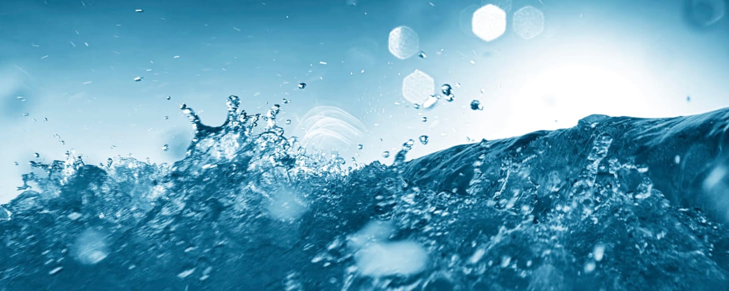 238. Death of Software. Nah.