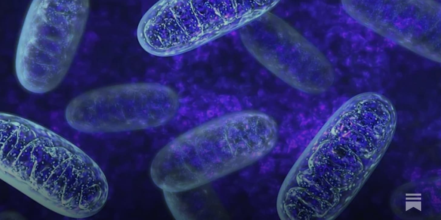 The Hidden Switch Behind Chronic Disease The Hidden Switch Behind Chronic Disease