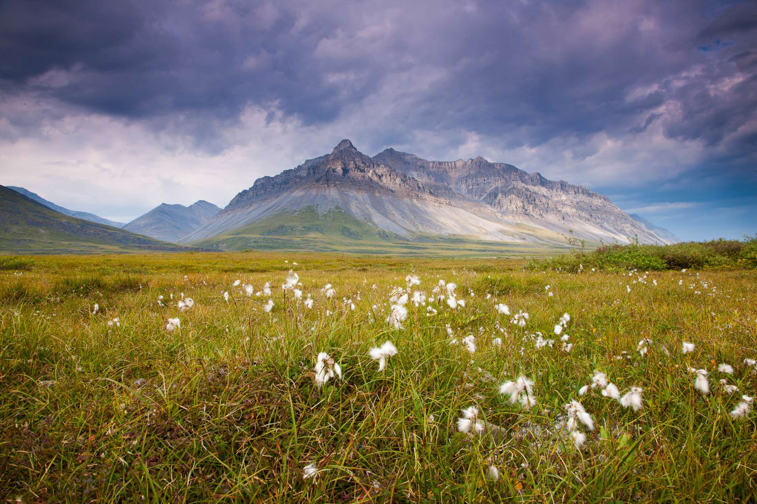 The Brooks Range in Alaska's Arctic Region | Travel Alaska