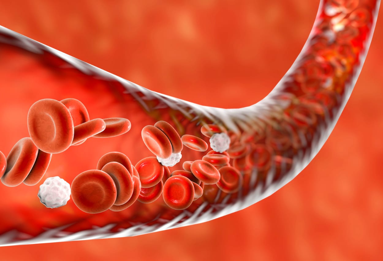 O dano invisível em cada vacina 7 O dano invisível em cada vacina- 7