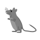 Conspi-Rat