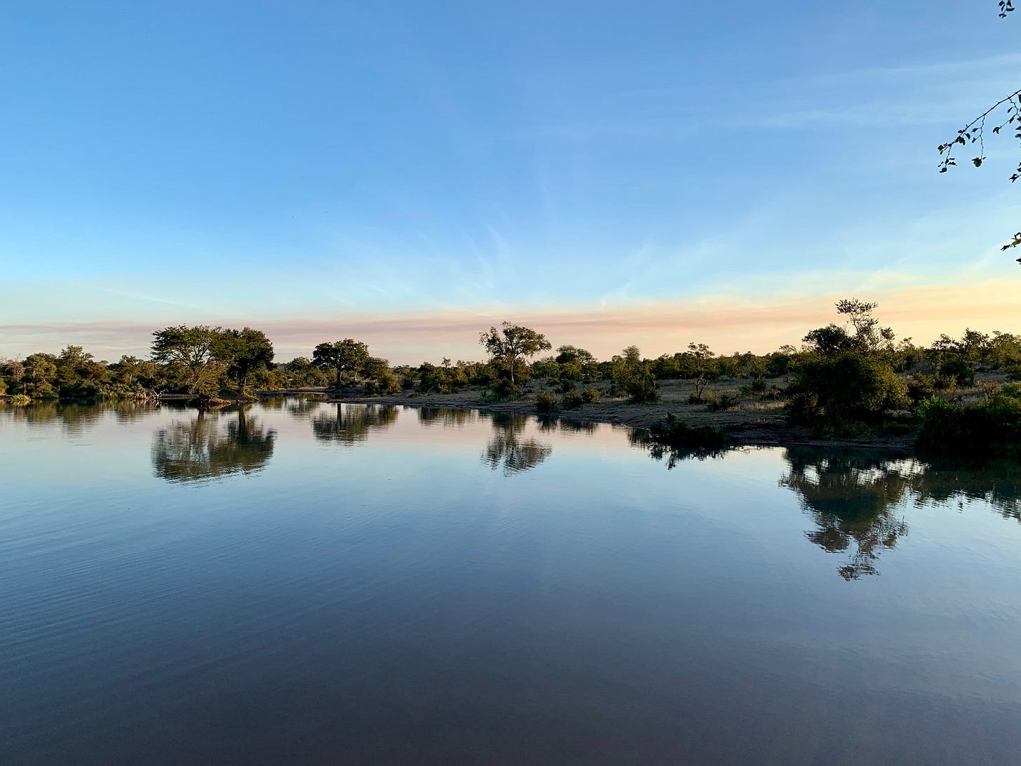 A Kruger watering hole at golden hour with acacia trees reflecting perfectly in still water, the sky turning pink and orange above.