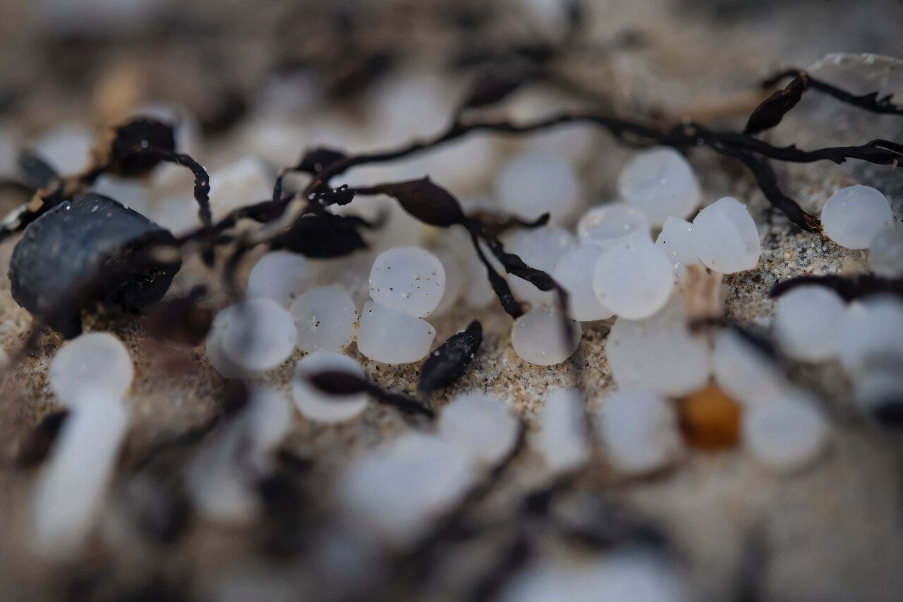 EarthStuff - Spatiotemporal Distribution Of Microplastics In The Protected Transboundary Thaya/Dyje River (Central Europe)