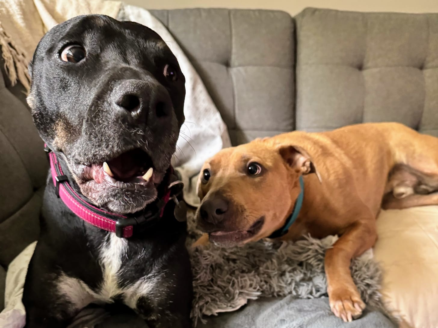 Big sister, little brother.