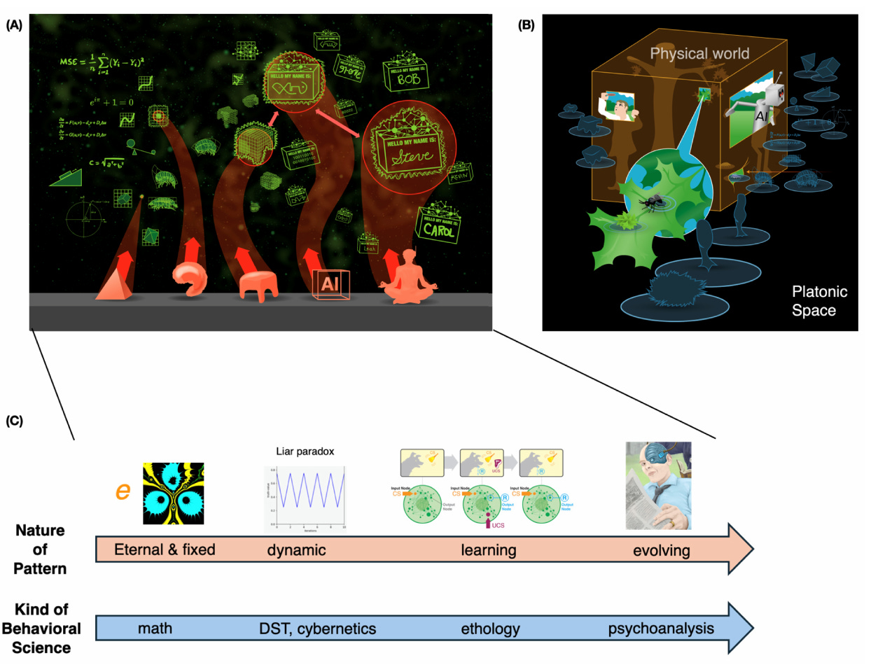 Figure 10 from Michael Levin’s Ingressing Minds paper