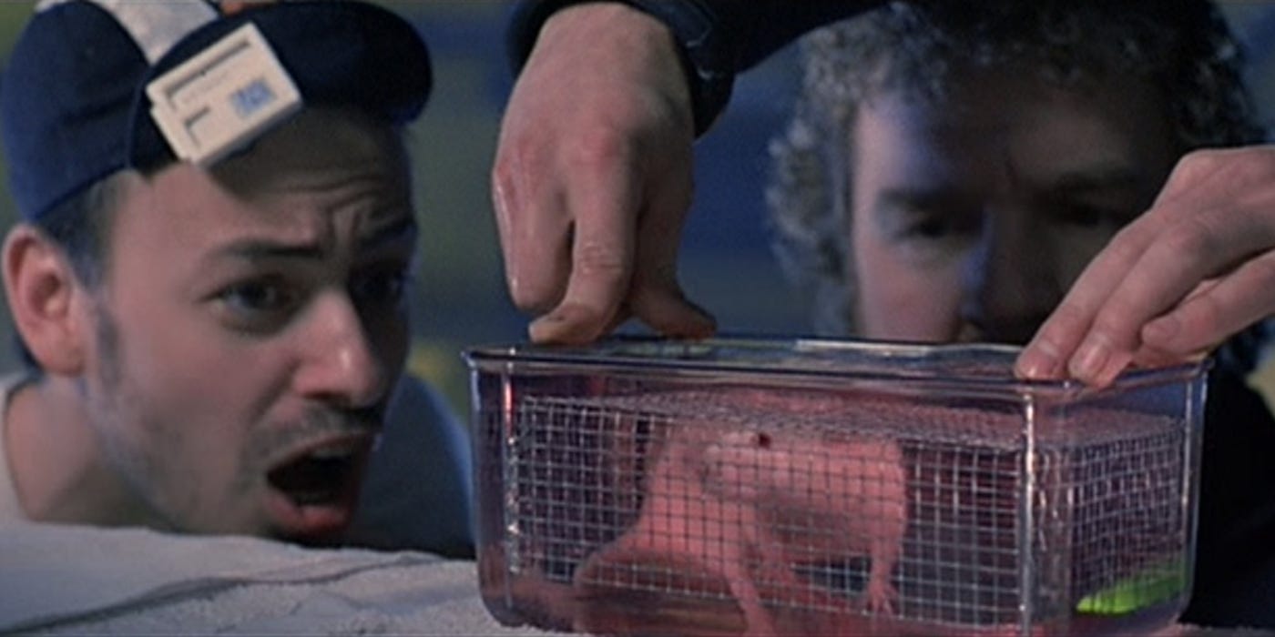 Disney's Controversial Censorship of a Scene in James Cameron's Film