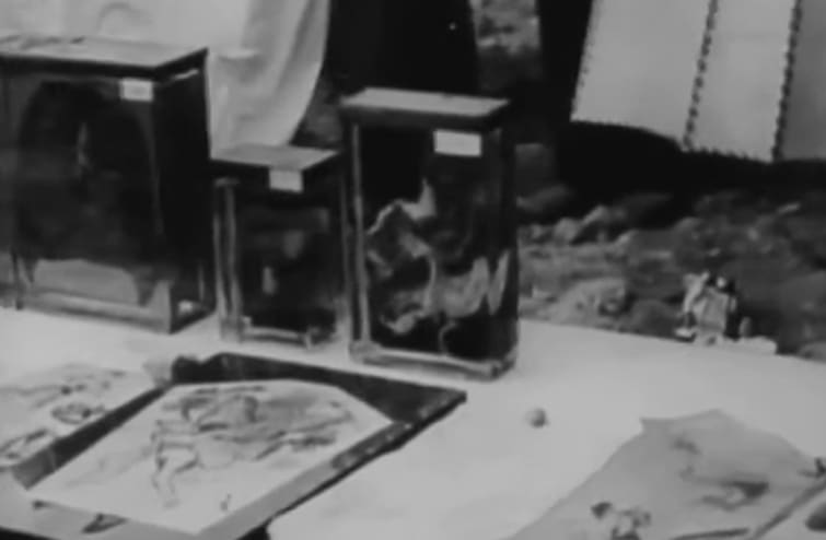 A group of rectangular objects on a table

AI-generated content may be incorrect.