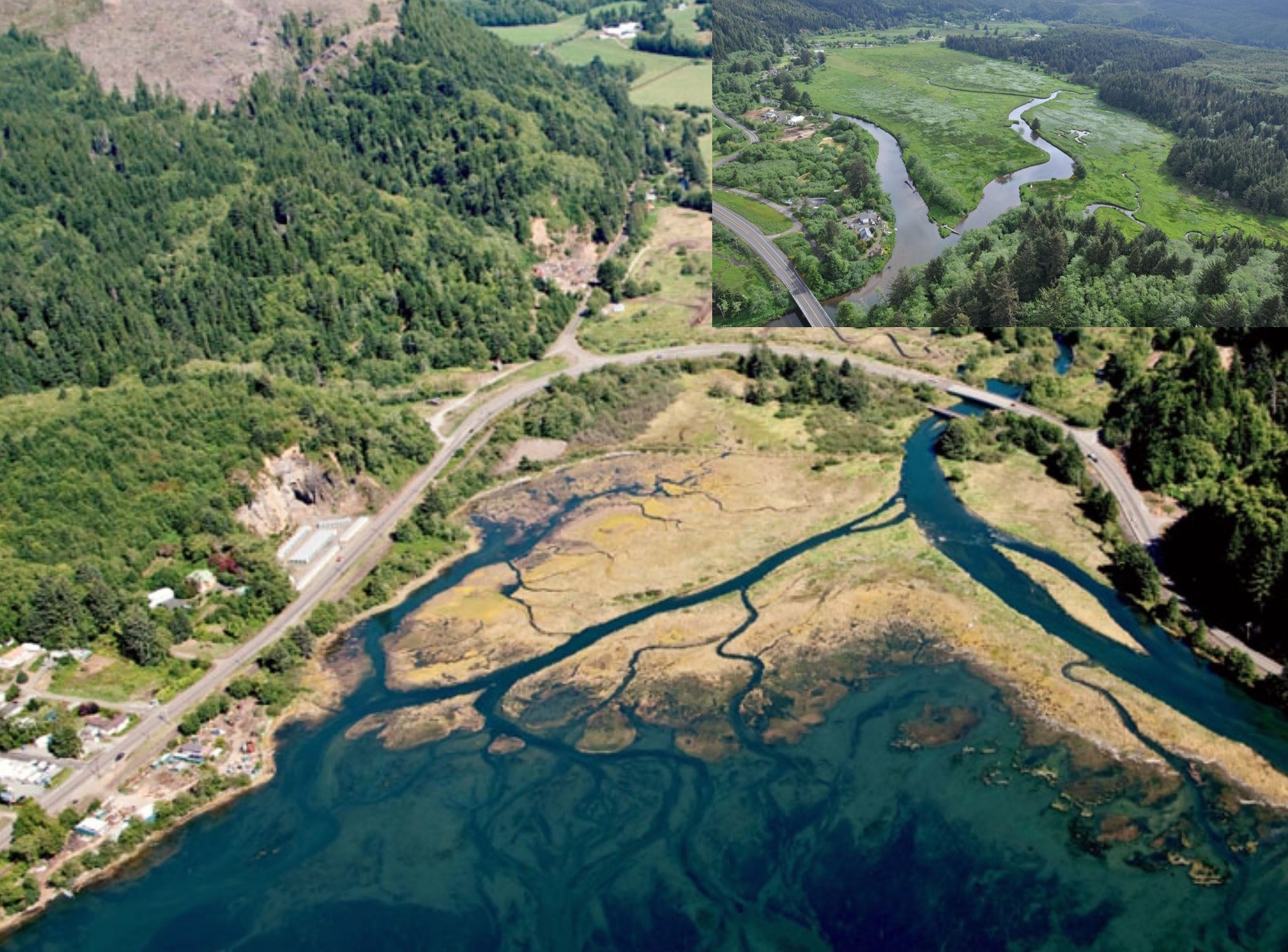 EarthStuff - Oregon’s Future Tidal Wetlands - Evaluating Potential Habitats, Human Impacts, &amp; Adaptation