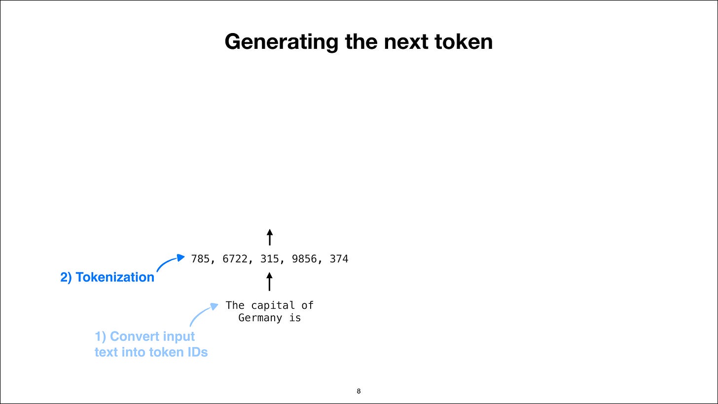 Step 2: tokenize the input text