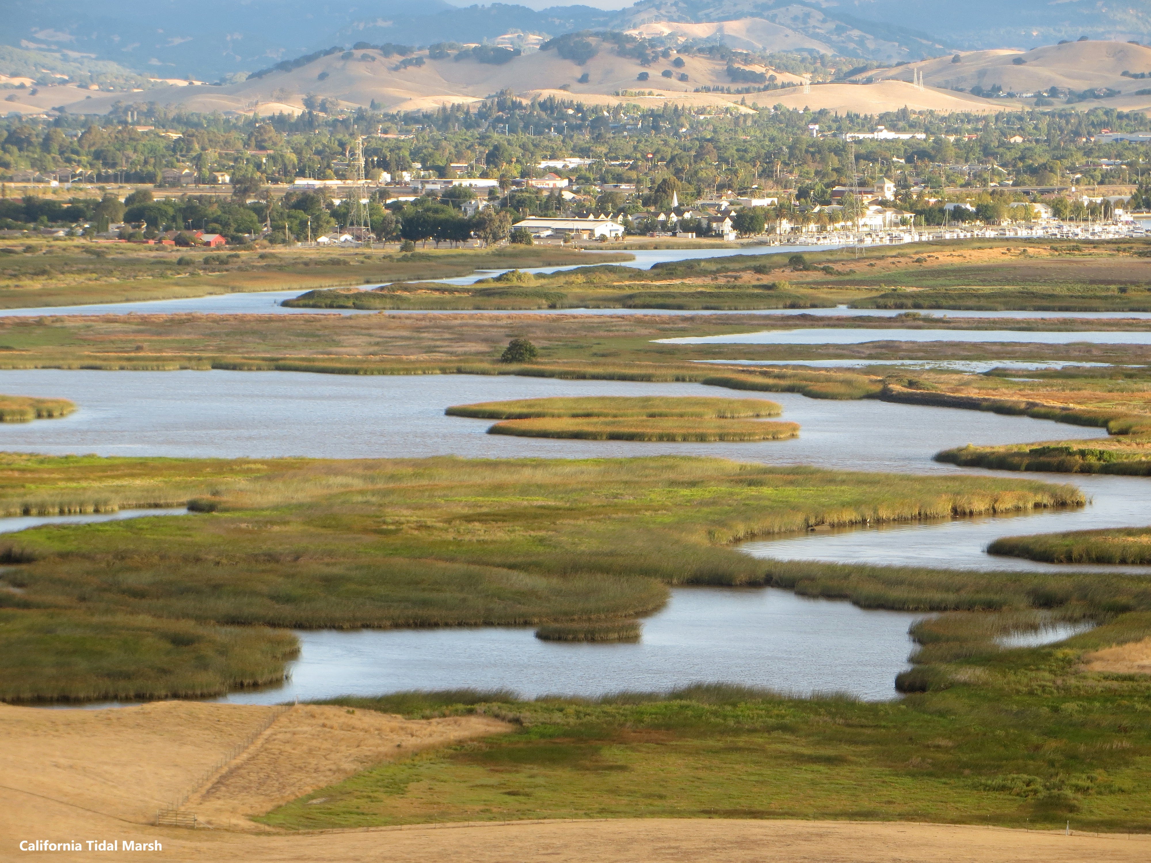 EarthStuff - A Global Systematic Review Of The Effects Of Hydromorphological Floodplain Restoration On Biodiversity