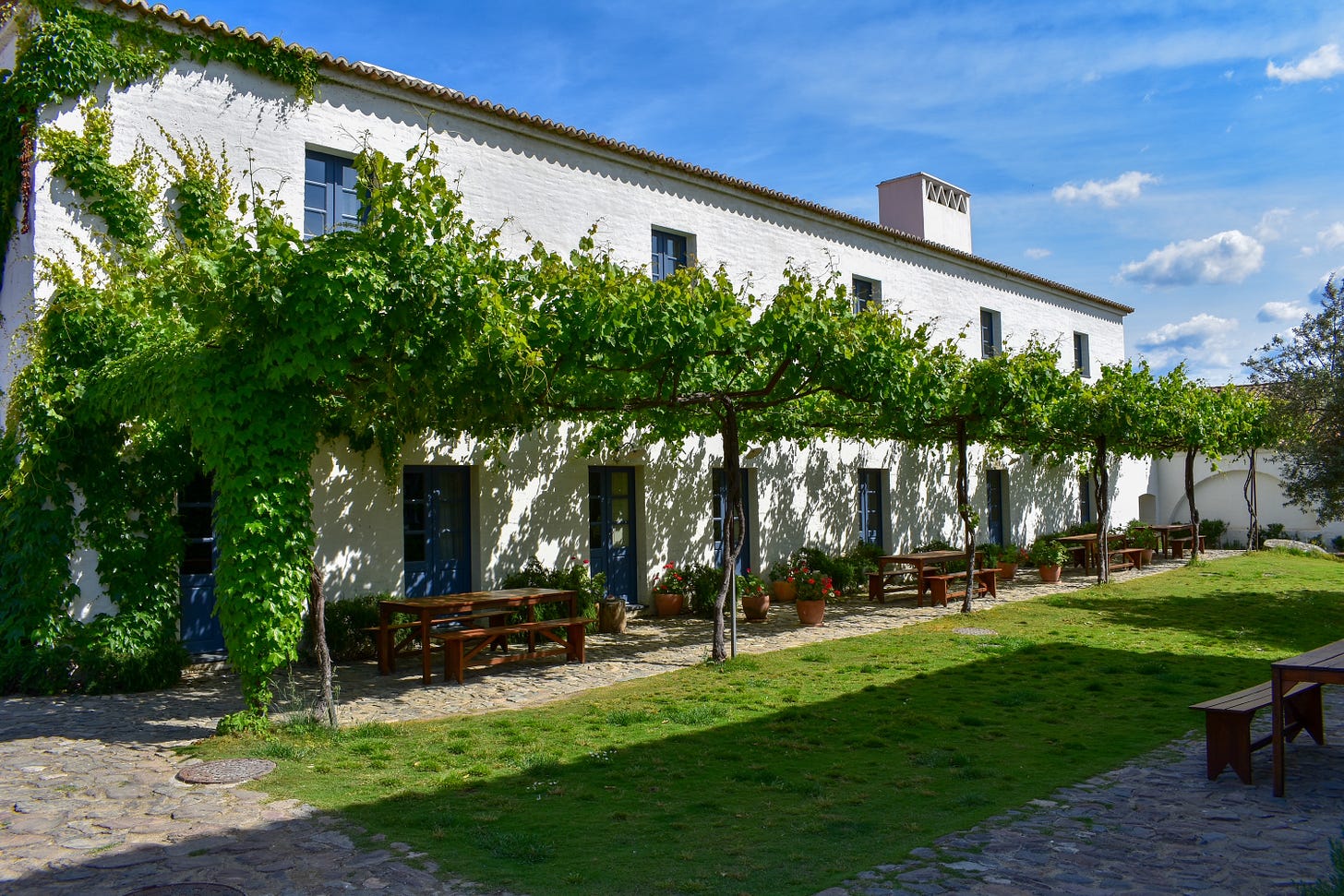 The whitewashed main building at São Lourenço do Barrocal in Alentejo, Portugal, with a canopy of grapevines trained along wooden pergolas and terracotta geranium pots lining the facade