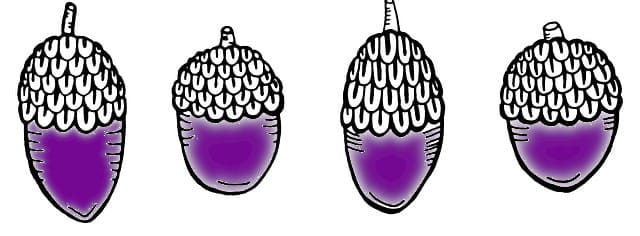 How Brokerage Oversight Really Works