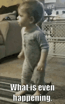 a baby is standing on a rug with the words what is even happening