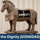 Amnesty in Disguise