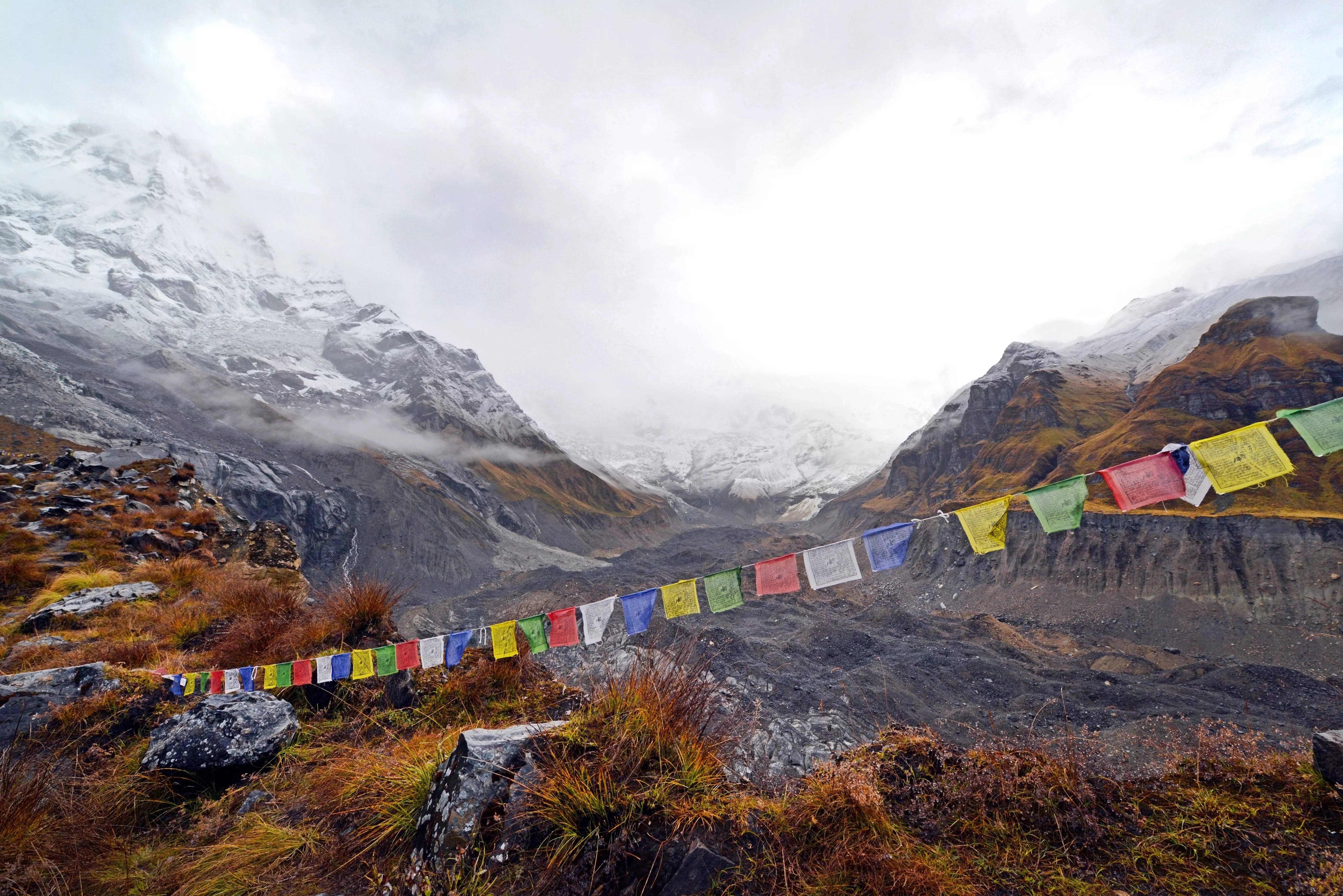 EarthStuff - Scientists See More Vegetation In The Himalayas, But It Is Not Good News, Because That Extra “Green” Can Disrupt Water, Snow, And High-Mountain Biodiversity