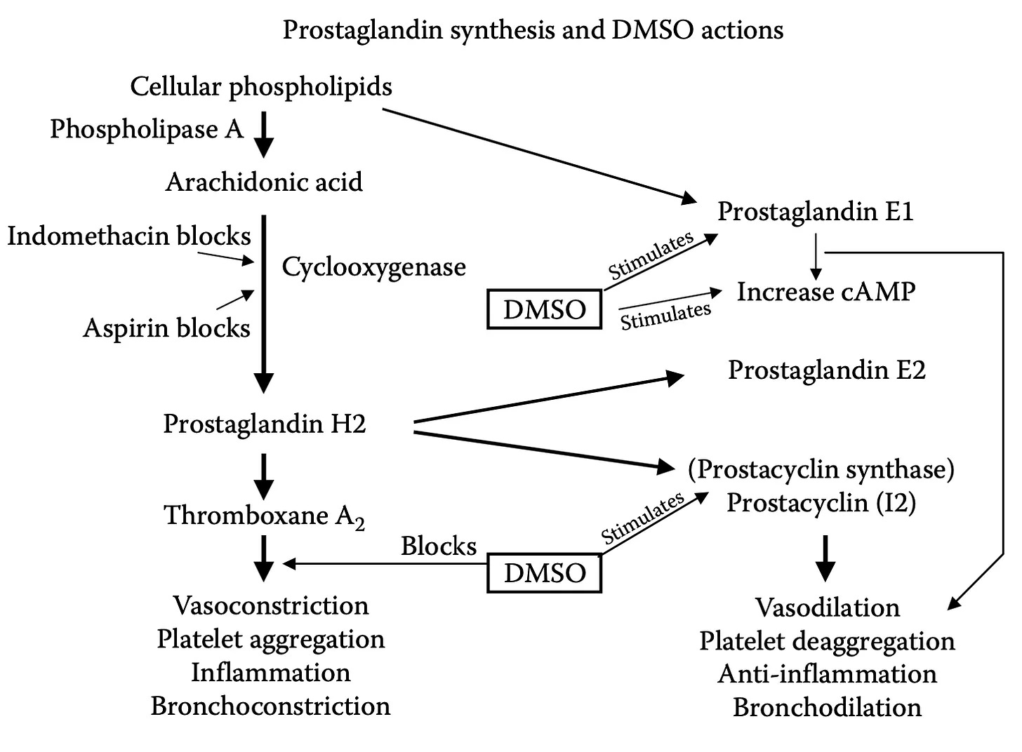 How DMSO Heals The Blood Vessels and Could Save Millions From Strokes