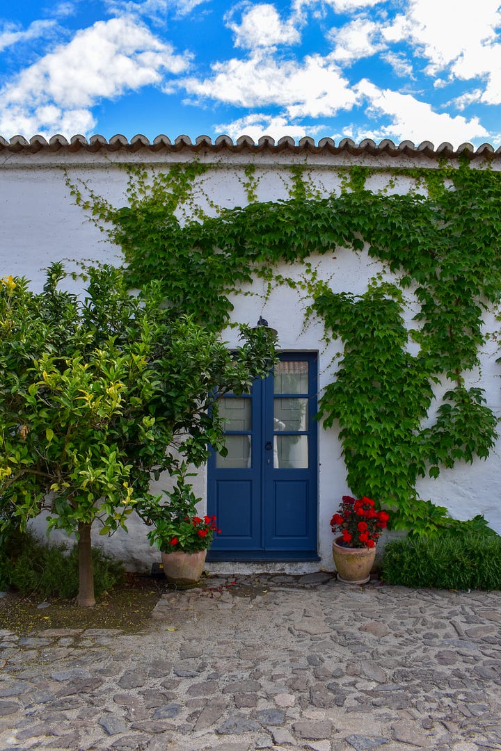 A blue double door flanked by terracotta pots of red geraniums and climbing ivy on a whitewashed wall — the entrance to a guest room at São Lourenço do Barrocal
