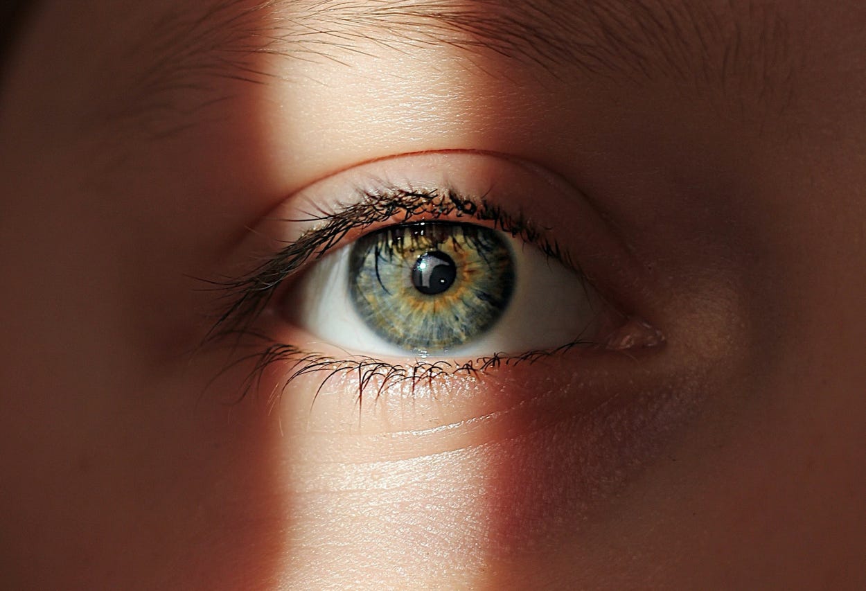 What Happens When Humans Disconnect From Natural Light?