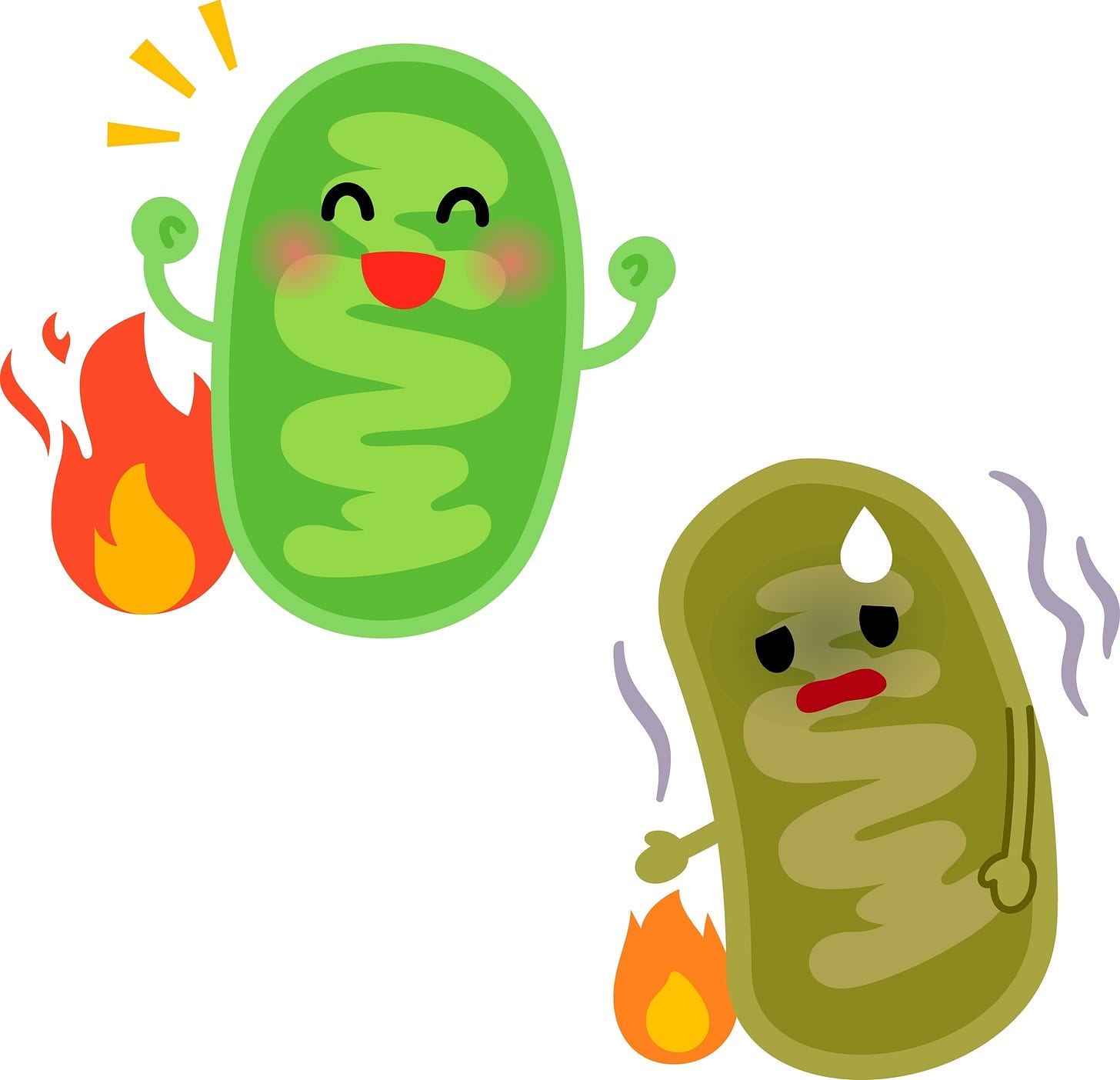 The Hidden Switch Behind Chronic Disease The Hidden Switch Behind Chronic Disease