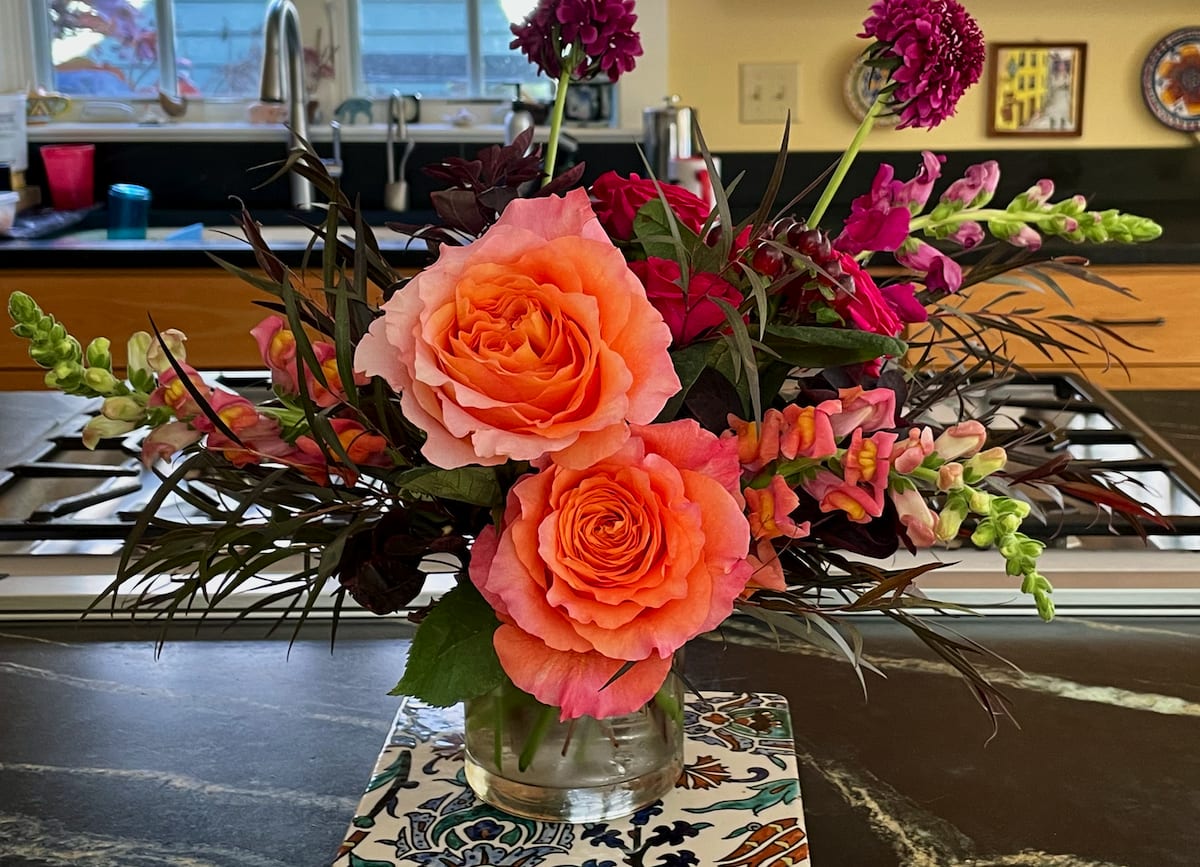 Special Education Today newsletter 5(19) 