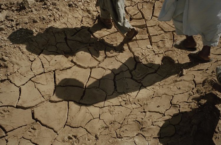 Two people walking over drought-dried and cracked earth