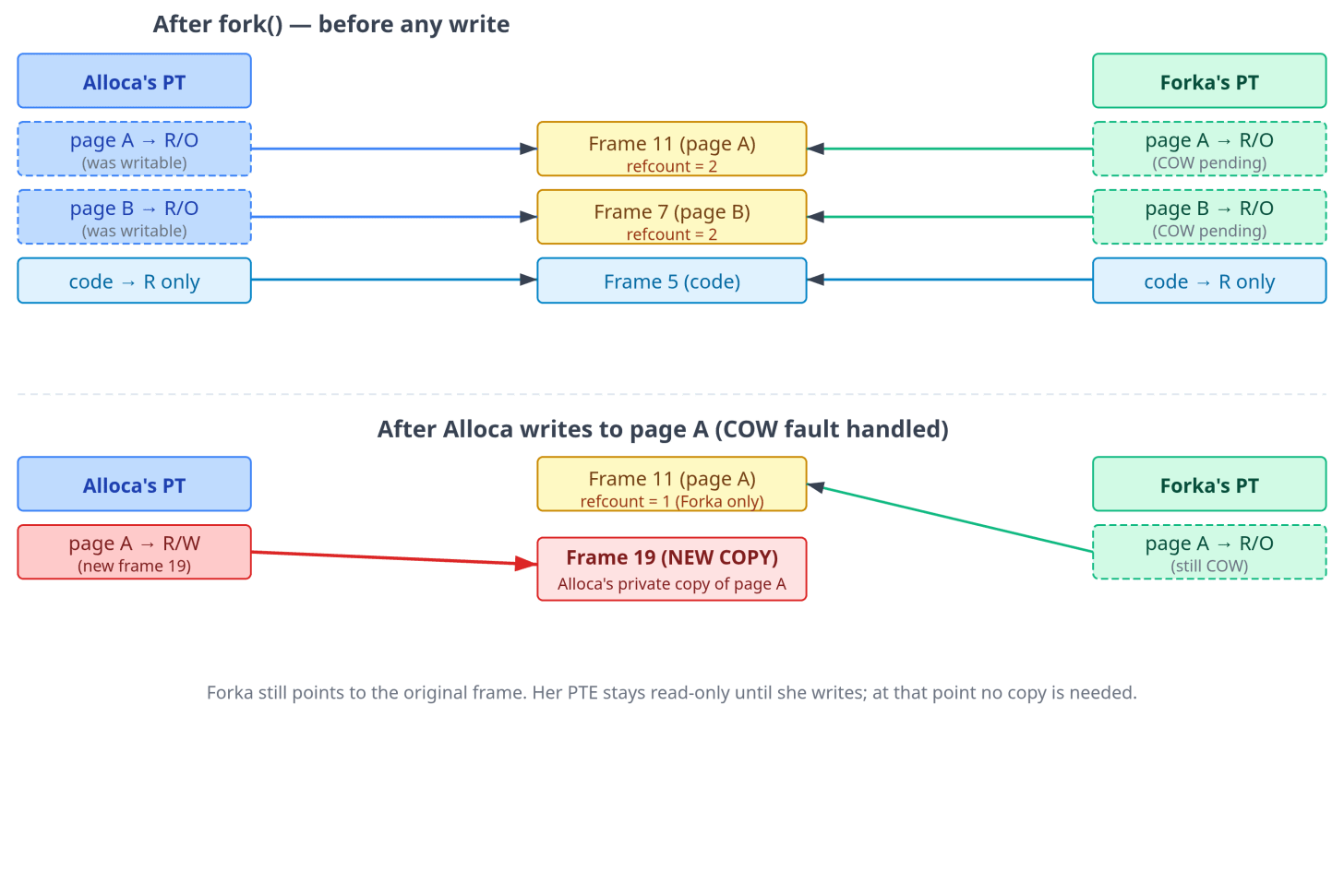 Figure 8: Copy-on-write after fork(). Initially, both page tables point to the same physical frames (top). After Alloca writes to page A, the kernel allocates a new frame (19), copies the contents, and updates only Alloca’s PTE to point to the new frame. Forka’s PTE still points to the original frame and remains read-only; the kernel will restore write permission on Forka’s next write fault without needing to copy, because the frame is no longer shared.