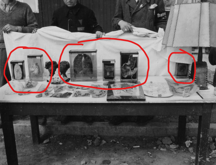 A table with a table with objects on it

AI-generated content may be incorrect.