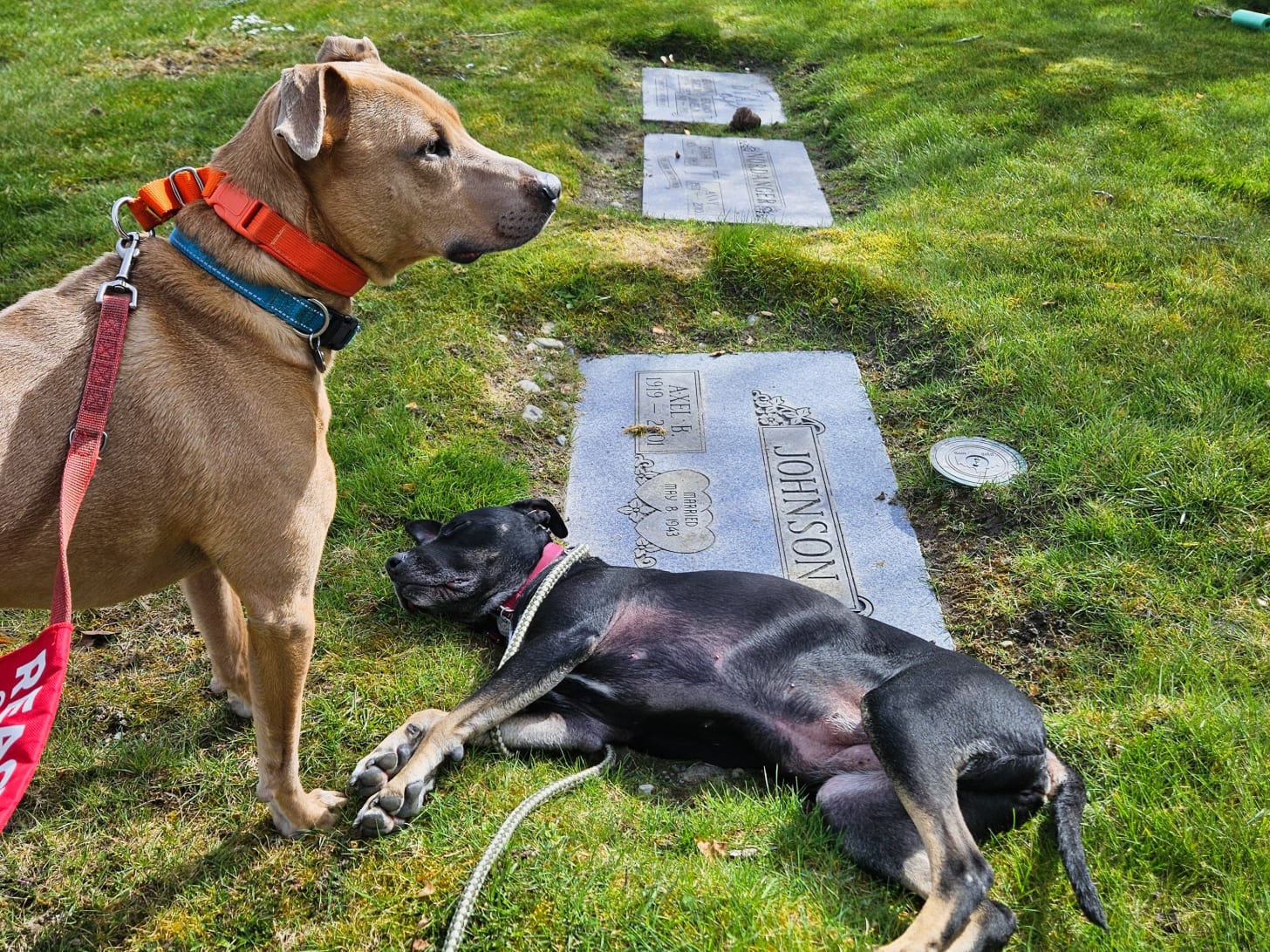 A moment of silence for the Johnsons. A moment of silence for the Johnsons.