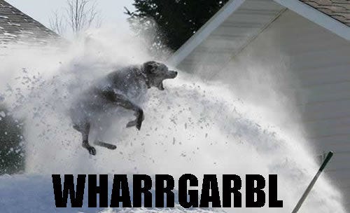 WHARRGARBL / Sprinkler Dog: Image Gallery | Know Your Meme