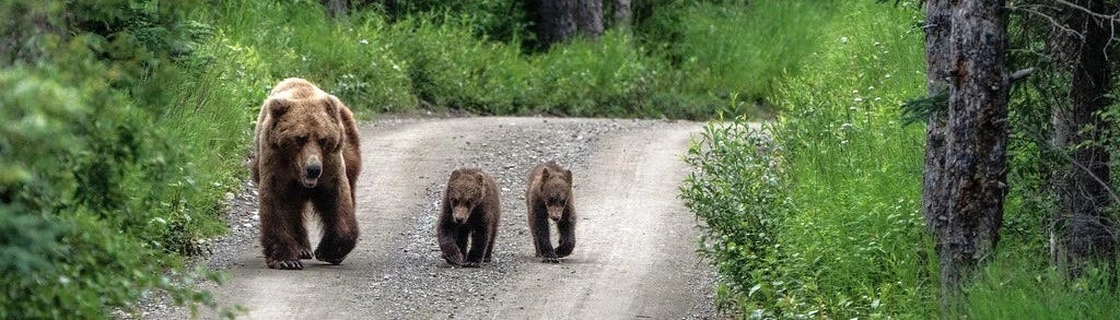 EarthStuff - National Park Service social media for the win again!