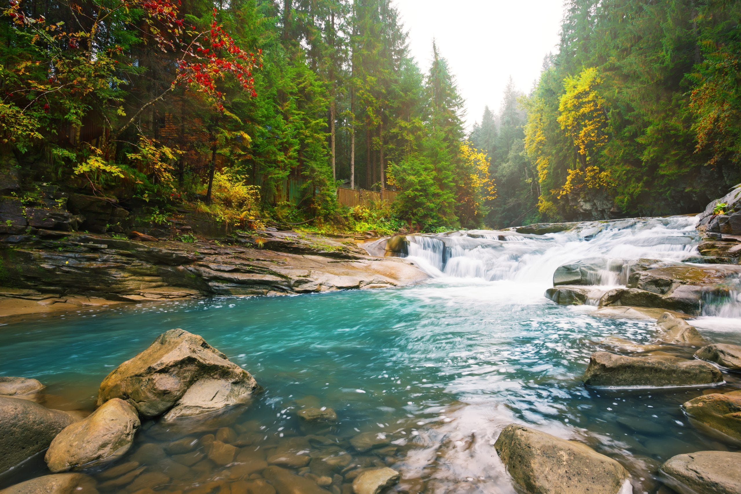 EarthStuff - Toward An Inclusive Bioeconomy Framework For Global Mountains