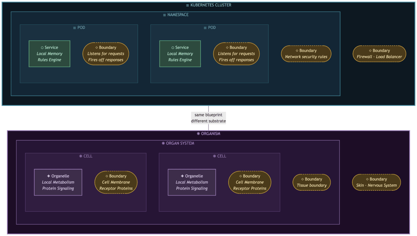 A side-by-side architecture diagram comparing a Kubernetes cluster to a biological organism. The left side shows software services nested within pods and namespaces, protected by network boundaries. The right side shows organelles nested within cells and organs, protected by biological membranes. Both sides demonstrate the exact same nested, hierarchical structure.