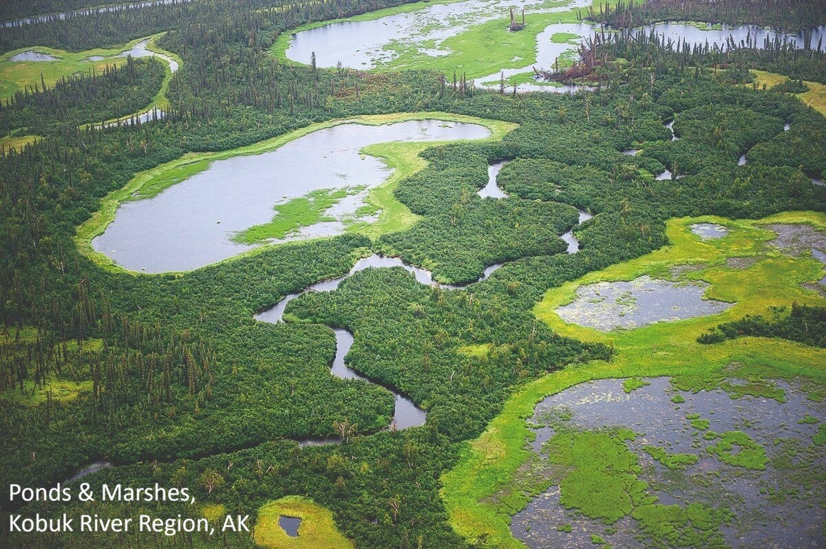 EarthStuff - PAWI - The First High-Resolution, Multi-Class, Pan-Arctic Wetland Inventory