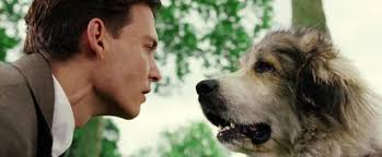 Just a dog poem & Johnny Depp's ...