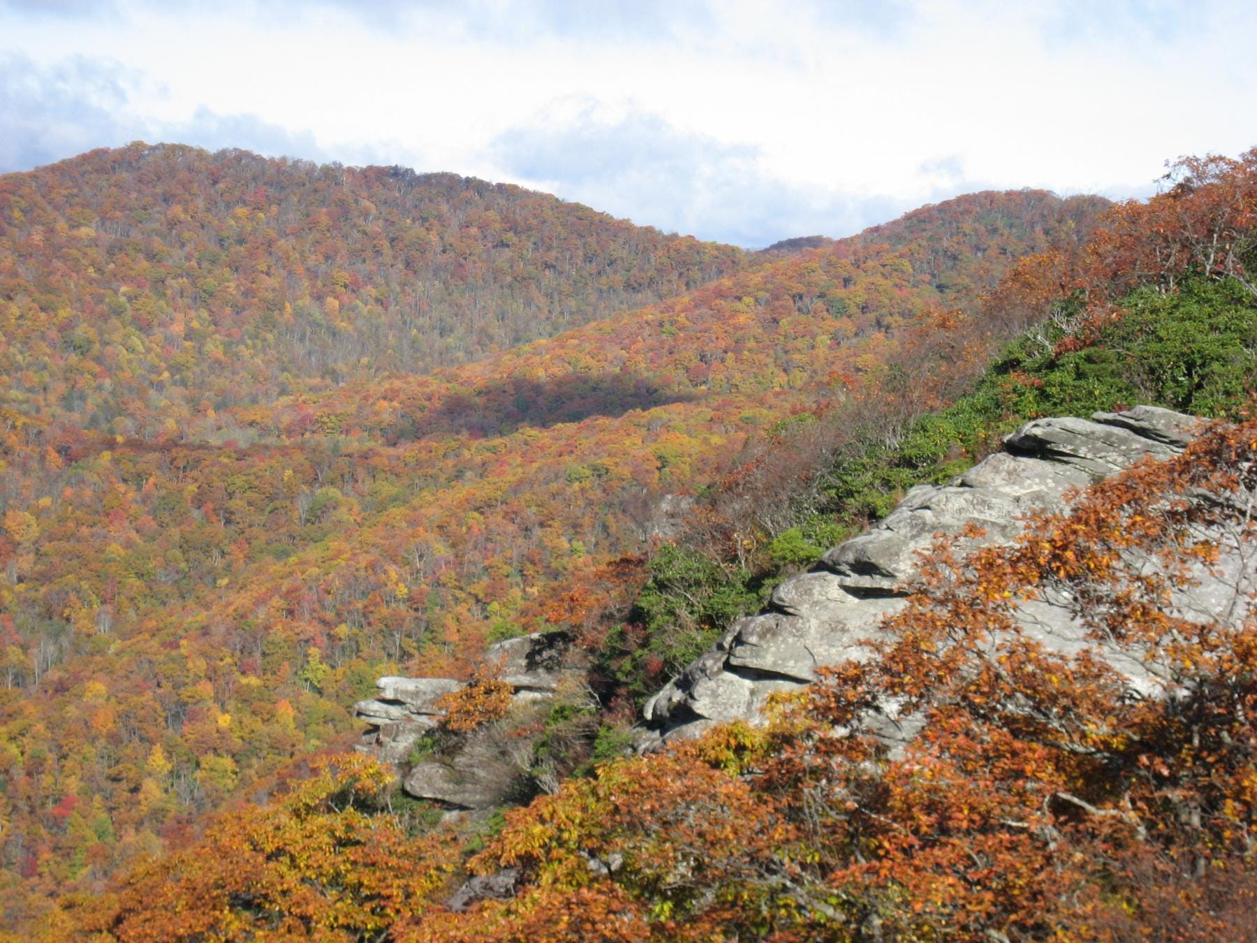 EarthStuff - Forest Disturbance Alters Water Yield But Not Catchment Drainage Behaviour