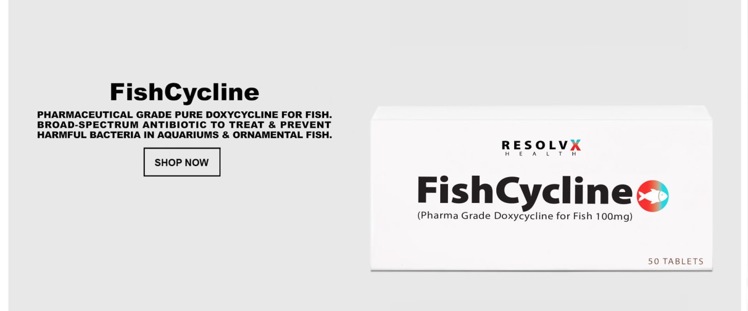 Dr. John Robb: Os protocolos de vacinação padrão podem prejudicar e até matar animais de estimação- 8