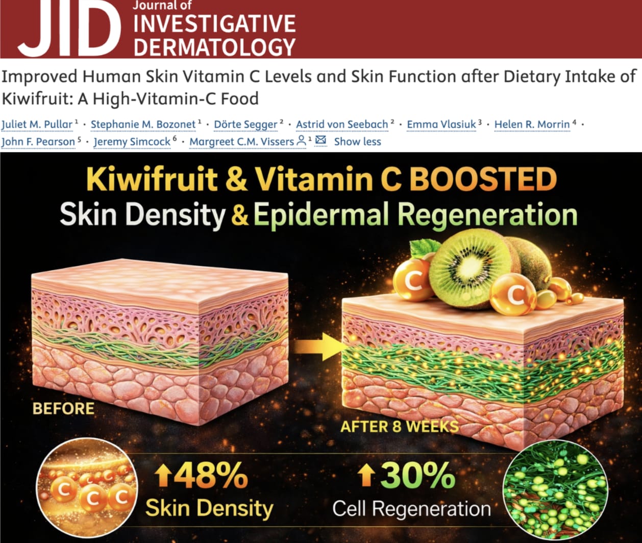 NEW STUDY: Eating Kiwifruit Increases Skin Density by 48% and Epidermal Regeneration by 30%