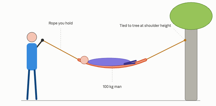 Person holding rope of hammock with man, tied to tree.