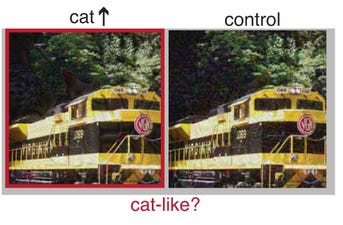 Picture of two seemingly identical-looking trains